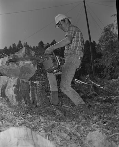 Logging hard hat new arrivals