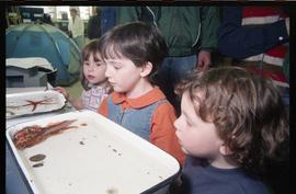 Open House 1998; children observing sea life in shallow pans