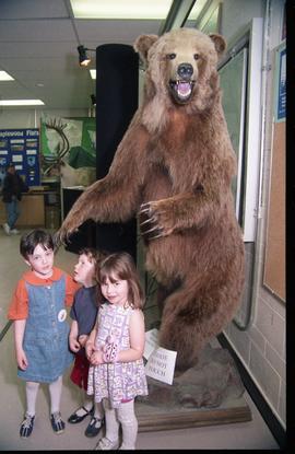 Open House 1998; three girls standing in front of stuffed bear display [photograph 3 of 3]