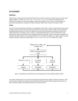 Concept of Attachment