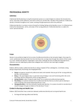 Concept of Professional Identity