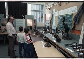 Open House 1986; children and adult observing  taxidermined sea bird display